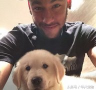 世界杯來了！讓我們扒一扒這些超級巨星們都在