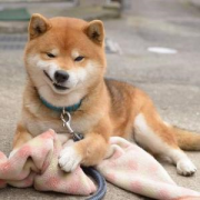 相信你也害怕遇到這幾種人吧？