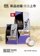 爵加新品幼貓精選上市！