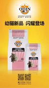 奧丁精品幼貓糧閃耀登場(chǎng)?。?！