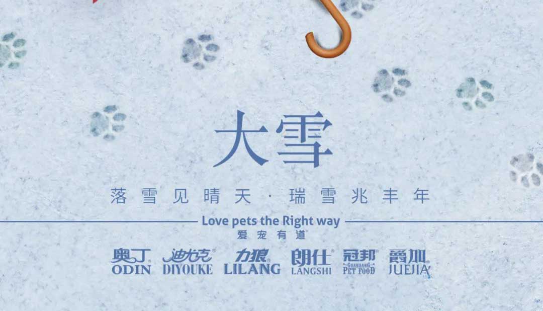 大雪丨雪落知寒意 久伴見初心！