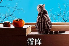 霜降丨縱然霜華盡染，心中美好如初