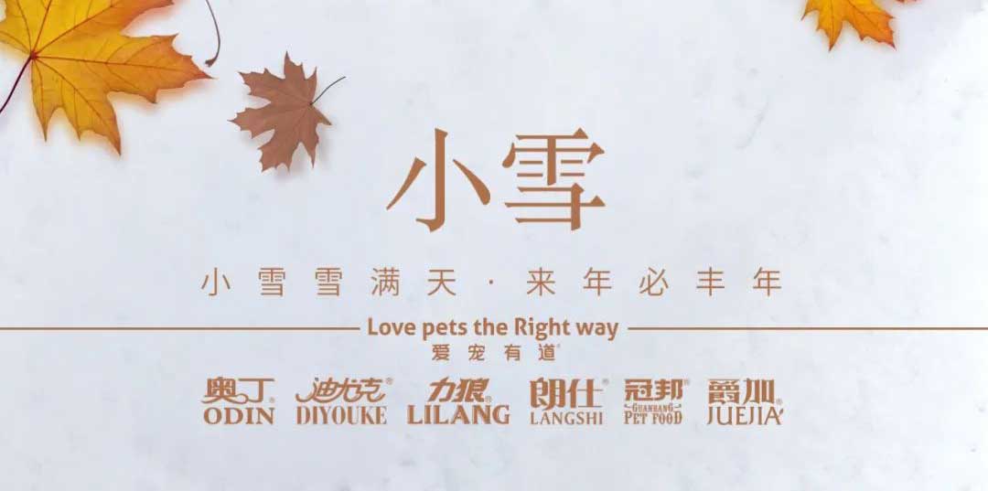 小雪丨天地初寒，歲月安暖